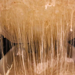 Pizzalcorso Boisson