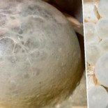 Pizzalcorso Boisson