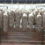 Il Ronco Dello Schioppettino À l'intérieur