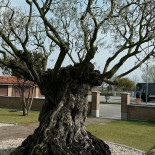 Ca Dal Pape Exterior