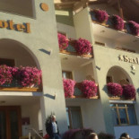 Saxl Exterior