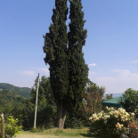 Gelo Exterior