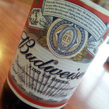 Clipper Boisson