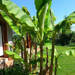 Agriturismo La Quiete Extérieur