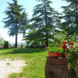 Agriturismo La Quiete Extérieur