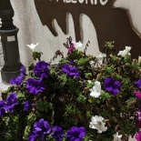 L' Orizzonte Extérieur