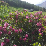 La Barroccia Extérieur