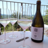 Canonica Di Corteranzo Boisson