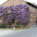 Rustico Di Ramon Extérieur