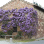 Rustico Di Ramon Extérieur