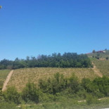 Agriturismo Mauro Oleis Exterior