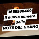 Le Note Del Grano Logo