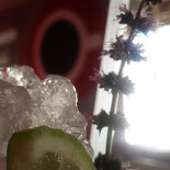 Primavera Cafè drink