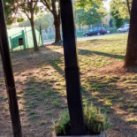 Al Solito Posto Extérieur