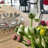 Piattofondo Gluten Free Boisson