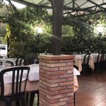 Flora Dentro
