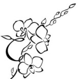L'orchidea Logo