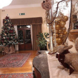 I Salotti À l'intérieur