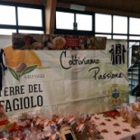 Baraonda inside