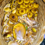 Baraonda food