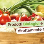 Nonno Bio Comida