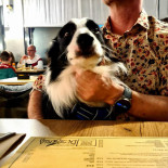 Pizzeria Desideria menu