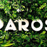 Paros Experience Bebida