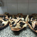 Bar Pizzeria Ristorante Rocco E I Suoi Fratelli Bebida