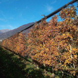 Maso Conca Verde Exterior