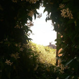 Locanda Ai Capitelli