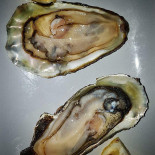 Anaunia Comida