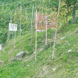 Giropesce Extérieur