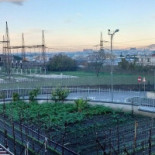 Roof Garden Exterior