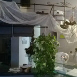 Pizzetteria Dentro