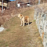 Dopolavoro Di Sartore Franco F. Lli outside