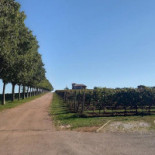 Azienda Agricola Castelvecchio Extérieur