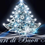 Ciclamino Tonezza Del Cimone Boisson