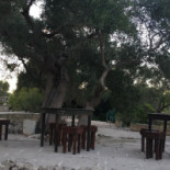 La'nchianata Exterior