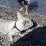 Lido Mille Pini Boisson