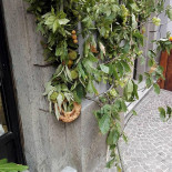 Darsena Boisson