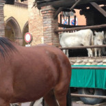 L'aragonese Extérieur
