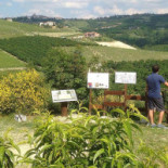 Agriturismo La Ruota