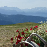 Mittagerhütte Bebida