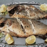 Fish Nude Comida