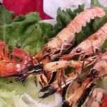 8 Pesci Nourriture