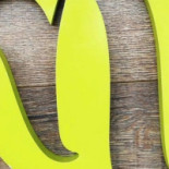 Bynice Logo