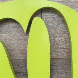 Bynice Logo