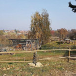 Il Boschetto Exterior