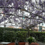 Bianchi Outside