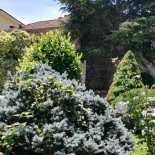 Capriccio Extérieur